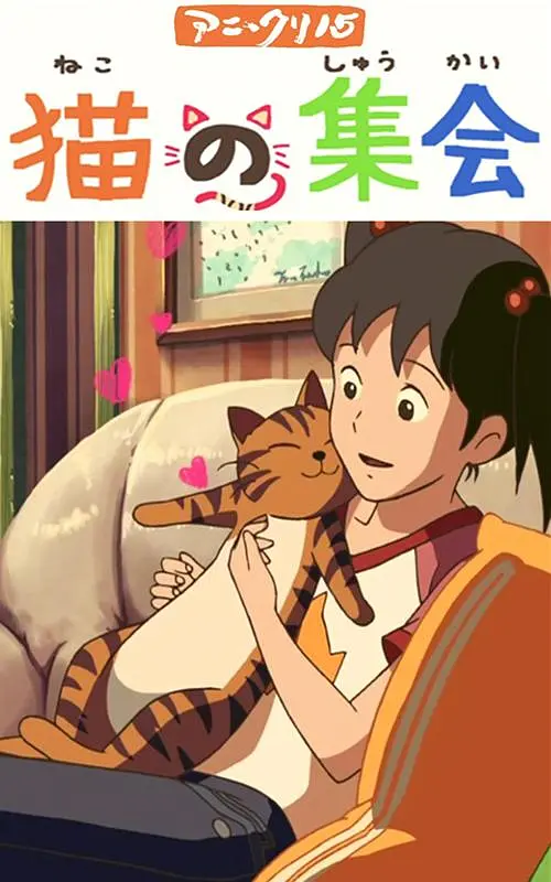 91免费观看视频